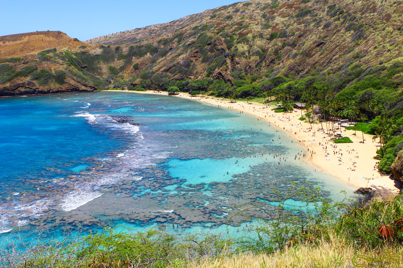 Hanauma Bay Oahu Hawaii snorkeling